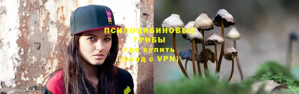Альфа ПВП Алзамай