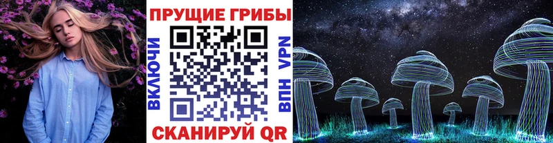Псилоцибиновые грибы прущие грибы продажа наркотиков Глазов