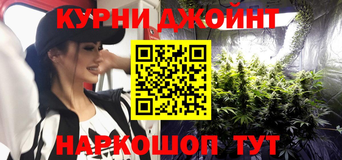 Конопля планчик Глазов